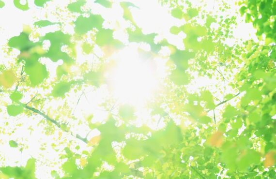 株式会社ロックワークス：サービスエンジニアとして活躍したい方を募集しております